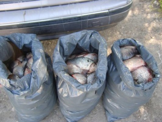 Poliţiştii, în alertă pentru prevenirea şi combaterea braconajului